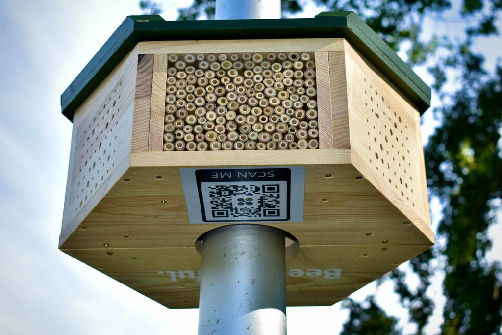 Bee Grafefull bijenhotel