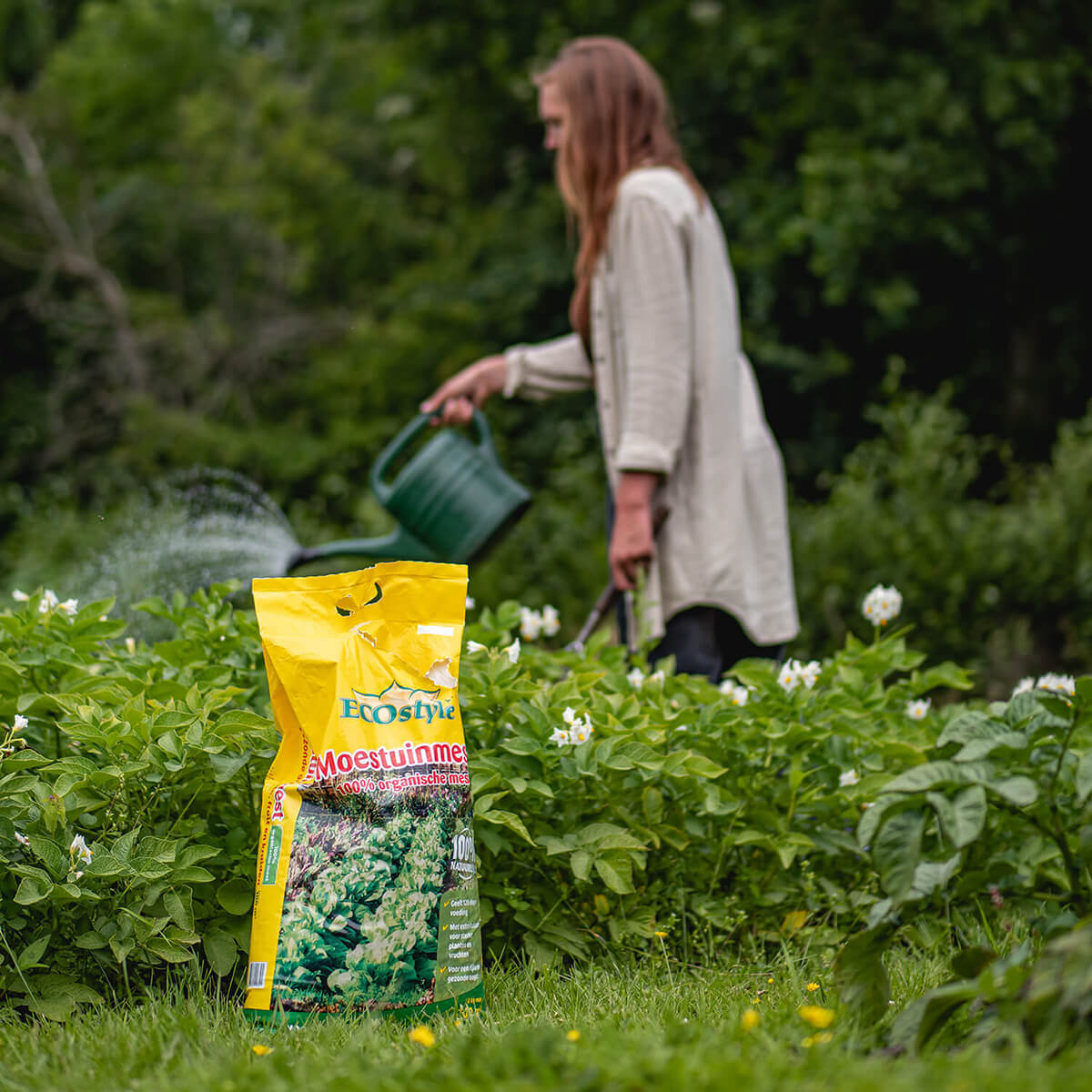 Brutaal Perceptueel mannelijk MoestuinMest