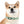 Load image into Gallery viewer, Best Friend Mint Green Dog Collar
