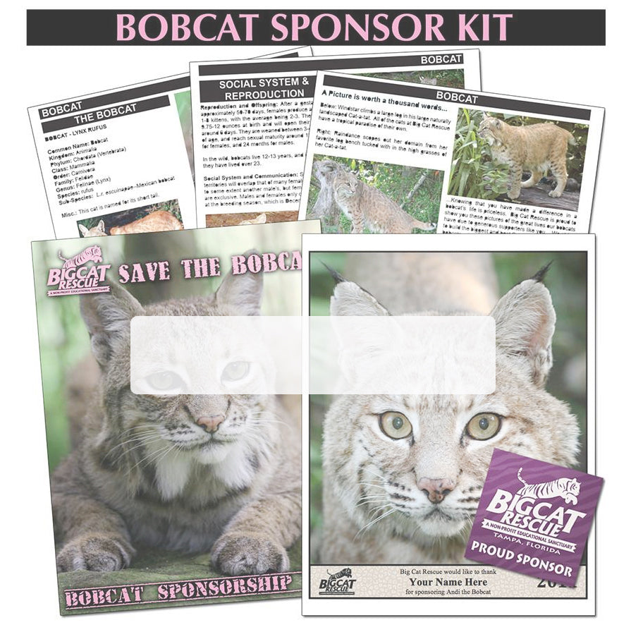 big cat rescue merchandise