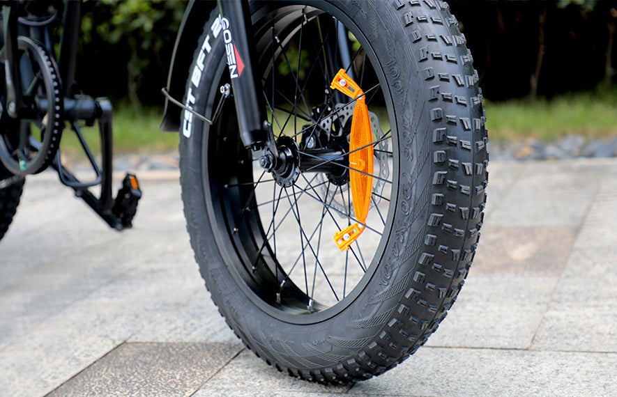 Gosen CST Fat Tires