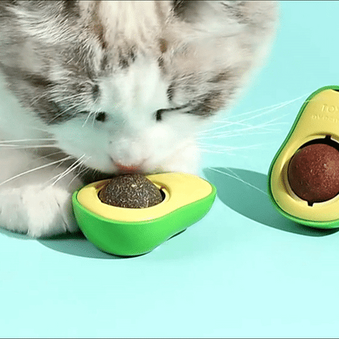 Avocado Cat Licking Toy– Fuffy Family