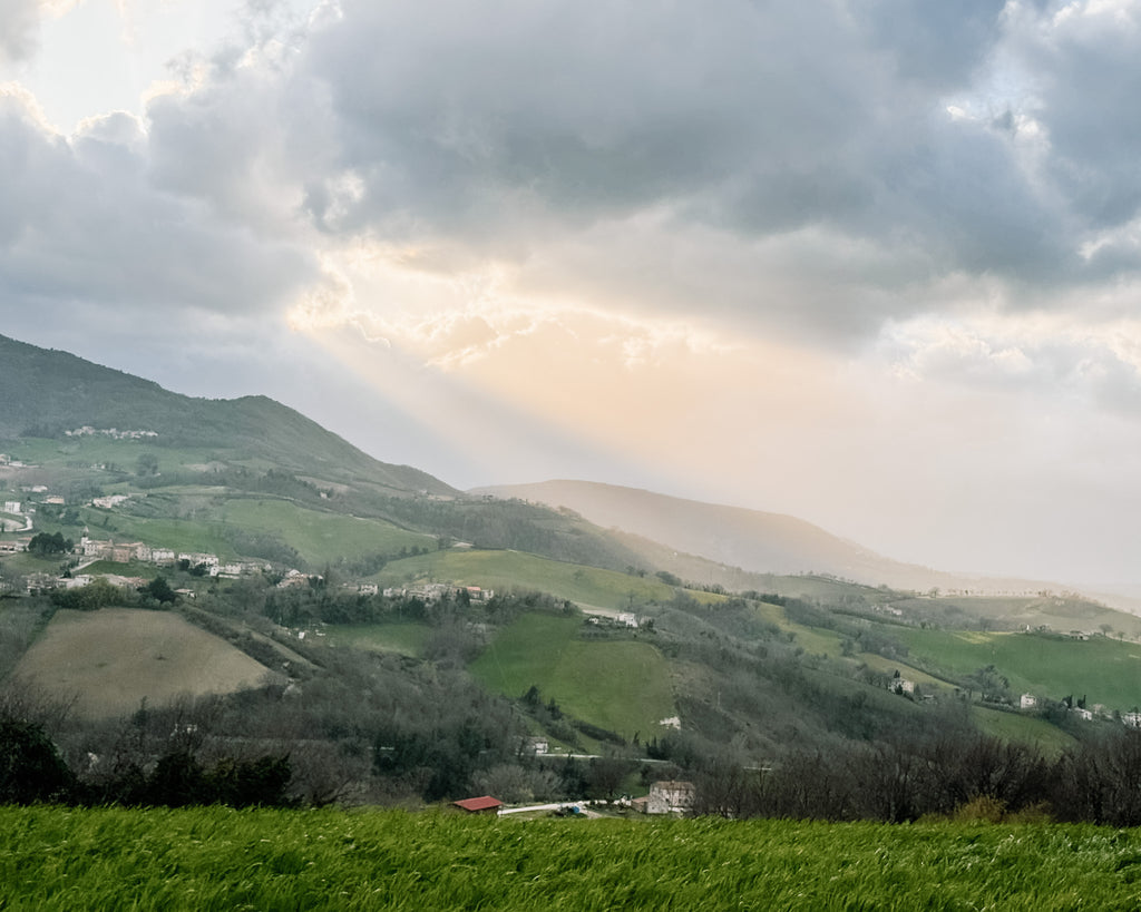 Sun drenched italian tuscan hillside