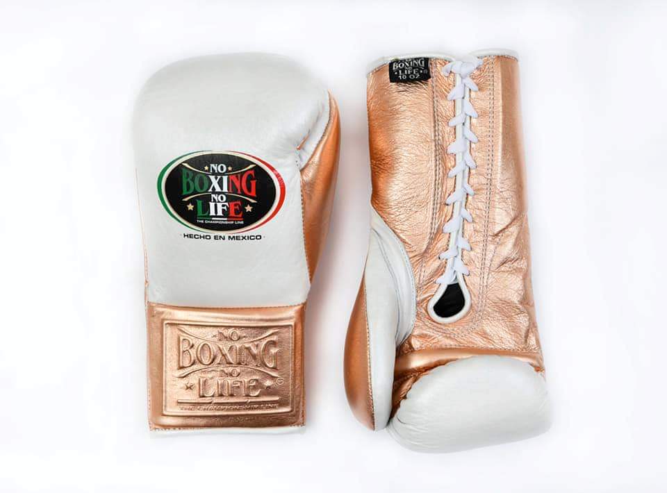 10oz Pro Fight Glove