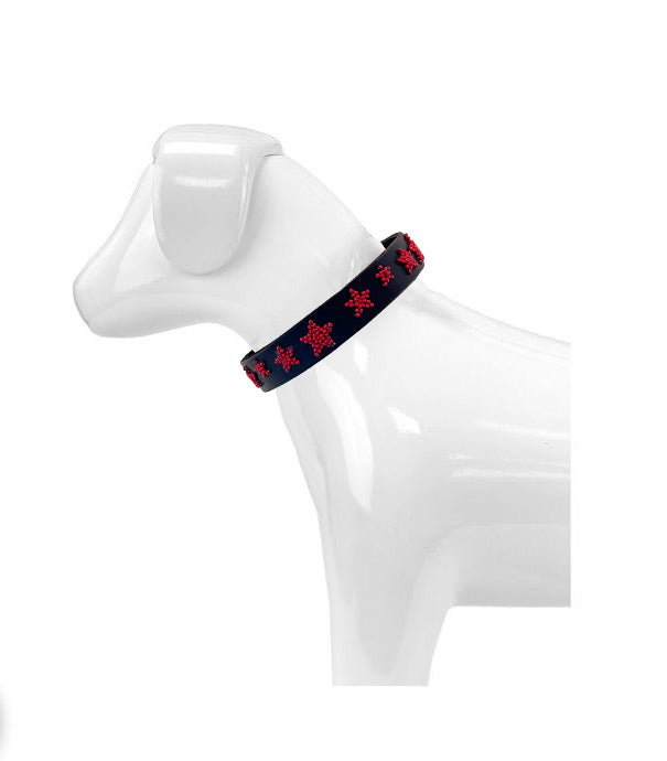 Hundehalsband - Regenbogen – KATHARINA SCHOEN – BELTS & CO