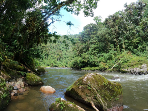 view from camp rio hollis ecuador