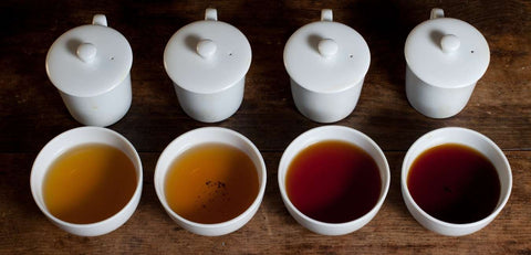 Tea Tasting