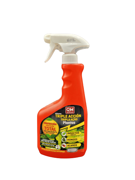 Con 3 ingredientes, prepara el insecticida perfecto para eliminar a los  ácaros del colchón