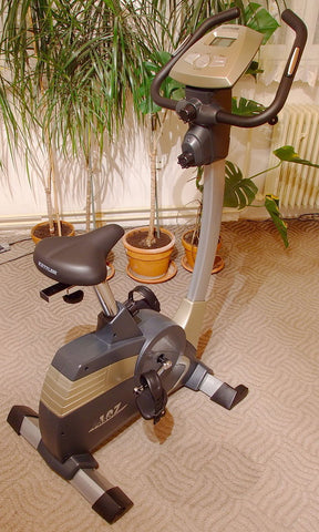 Old fashioned upright exercise bike in a beige and brown living room next to a spider plant