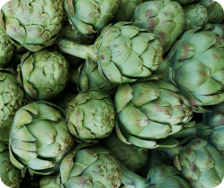 Artichoke extract