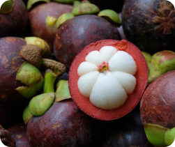 Kokum butter