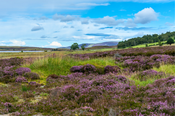 Lochindorb