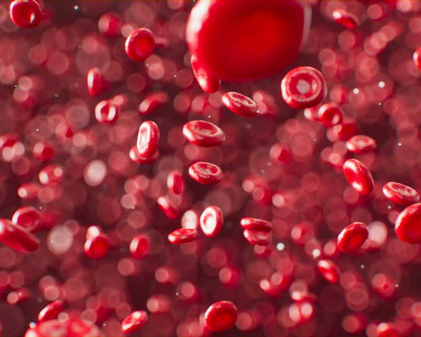 High-definition 3D render of red blood cells in bloodstream