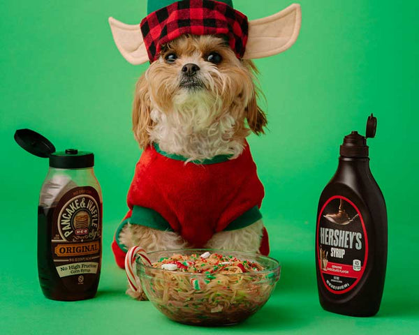 Havanese dog in elf costume sits looking at camera next bowl of spaghetti and bottles of maple syrup and Hershey's chocolate syrup