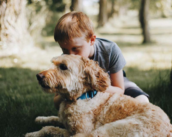 Boy with red hair sits in grass with Golden Doodle wearing blue collar