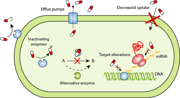 Diagram of different mechanisms of antibiotic resistance