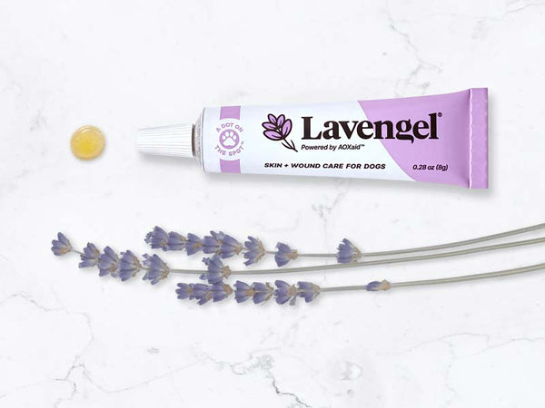 Lavengel tube, gel dollop, and dried lavender sprigs arranged in smile shape on white marble background