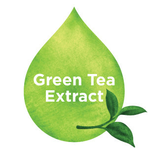 Green Tea Extract