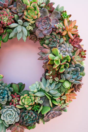 Heart Succulent Moss Wreath