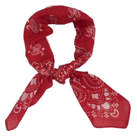 Bandana Muster Png