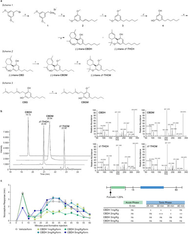 études scientifiques THCP THCB HHCH CBDP CBDB