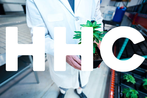 Achat de HHC - Acheter du HHC en france - commander du HHC - LE HHC c'est quoi - HHC CBD - HHC BHO - HHC Pure - HHC Grossiste - Vente de HHC