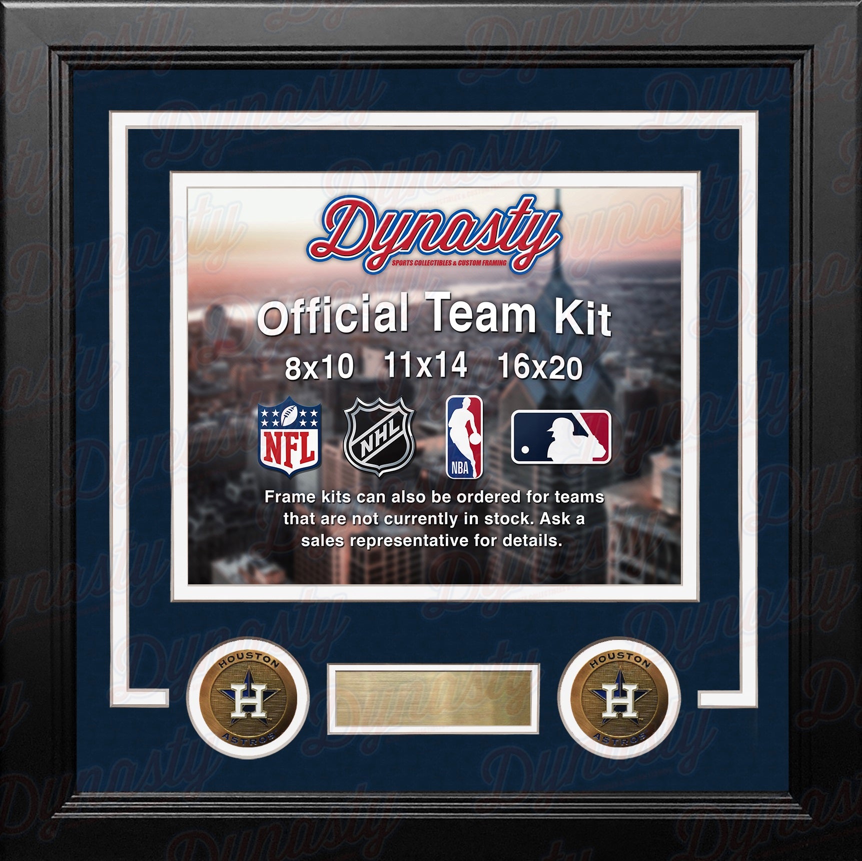 MLB Baseball Photo Picture Frame Kit - Houston Astros (Brick Red Matting,  Gold Trim)