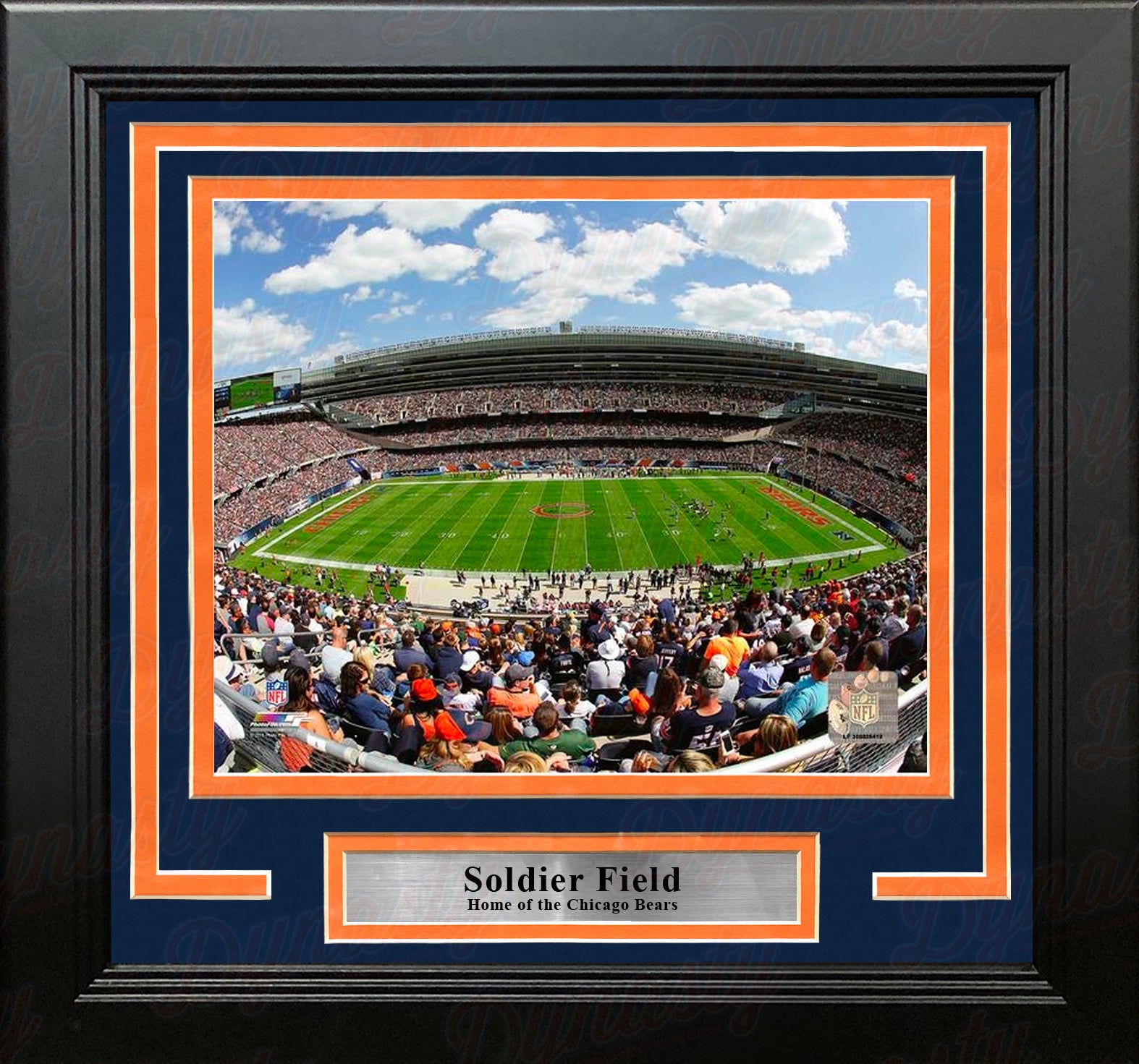 Chicago Bears Soldier Field 8 X 10 Framed Football Stadium Photo Dynasty Sports Framing