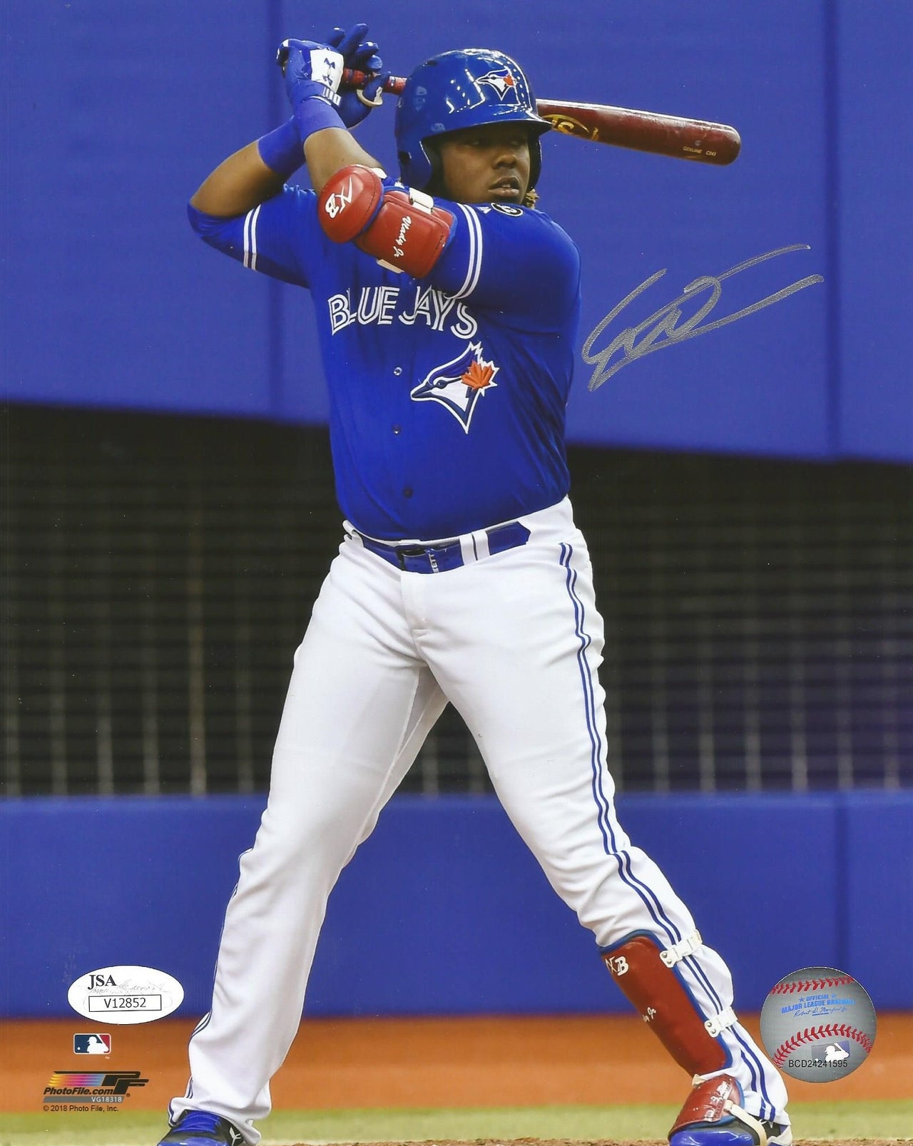 Vladimir Guerrero Jr. Signed real Autograph Blue Jays 16x20 