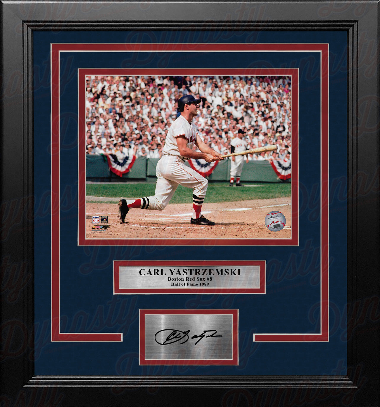 Ted Williams & Carl Yastrzemski Boston Red Sox 8 x 10 Framed