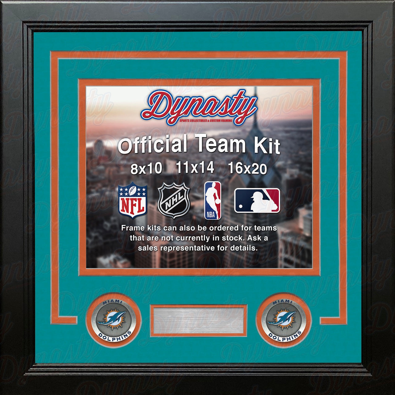 Miami Dolphins Black Framed Jersey Display Case