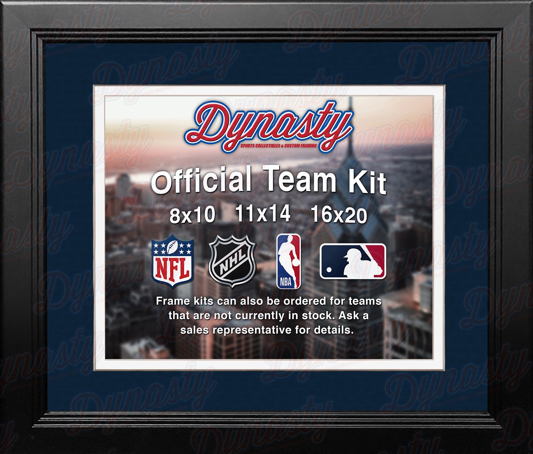 MLB Baseball Photo Picture Frame Kit - Detroit Tigers (Navy Matting