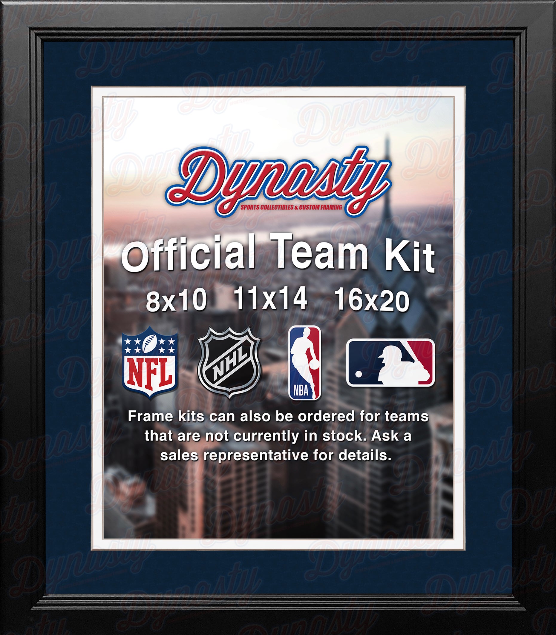 MLB Baseball Photo Picture Frame Kit - Detroit Tigers (Navy Matting