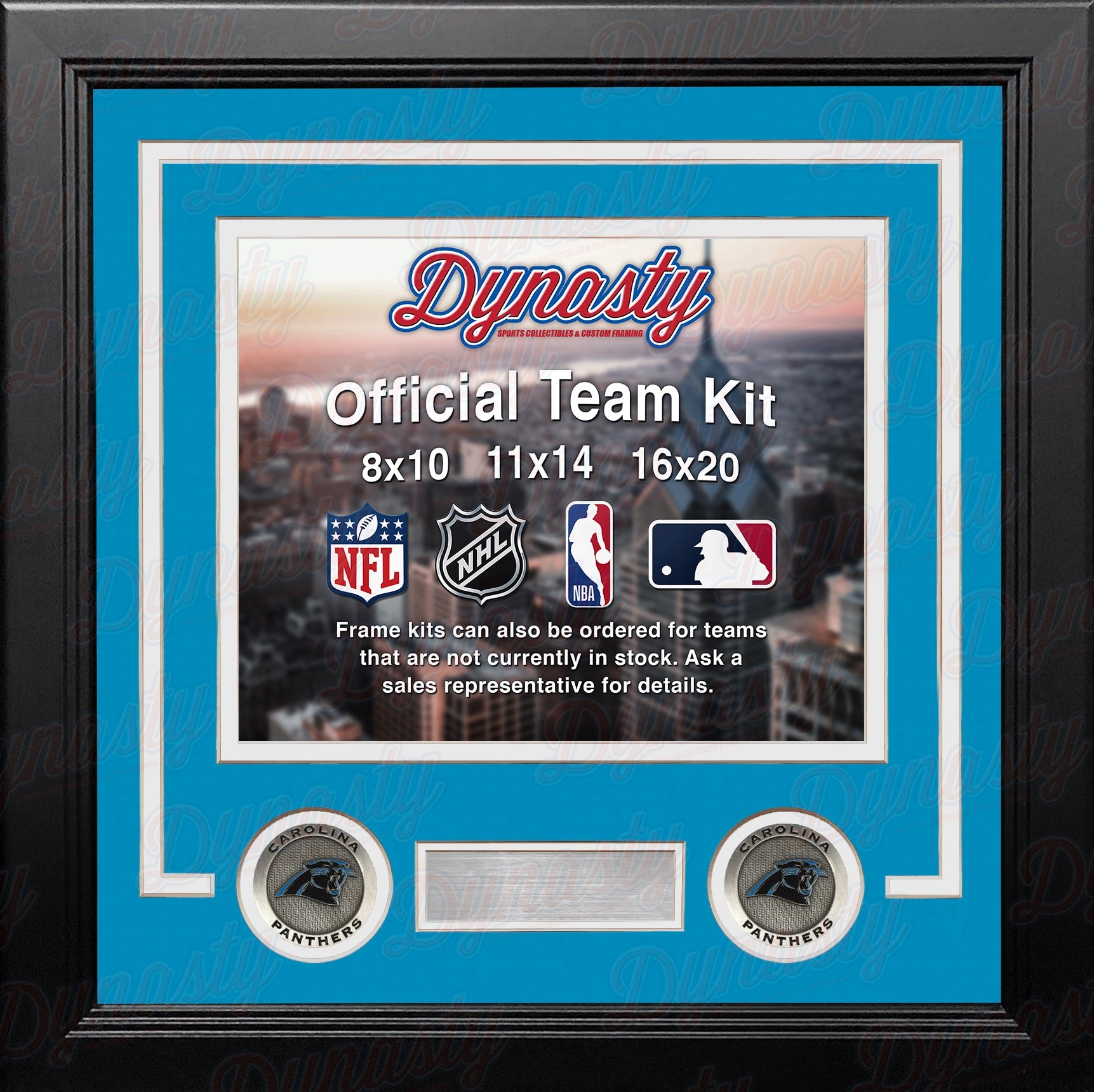 Carolina Panthers Custom NFL Football 16x20 Picture Frame Kit (Multiple  Colors) - Sky Blue Matting & White Trim / Landscape (Horizontal); Standard