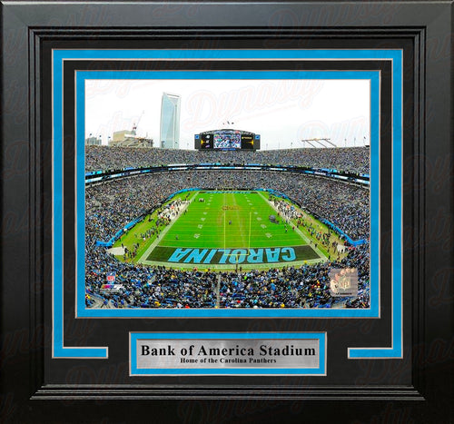 Carolina Panthers Unsigned Bank of America Stadium Photograph