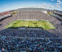 Minnesota Golden Gophers TCF Bank Stadium Storming the Field Panoramic  Picture (In-Store Pickup)