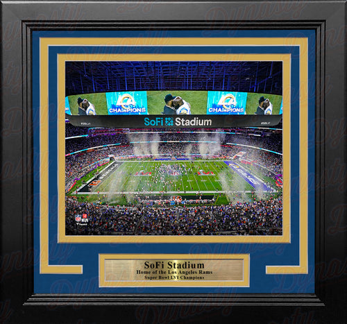 Carolina Panthers Bank of America Stadium NFL Football 8 x 10 Photo -  Dynasty Sports & Framing