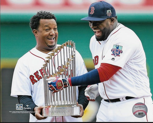 Pedro Martinez Boston Red Sox Pointing to Sky 8x10 Phot