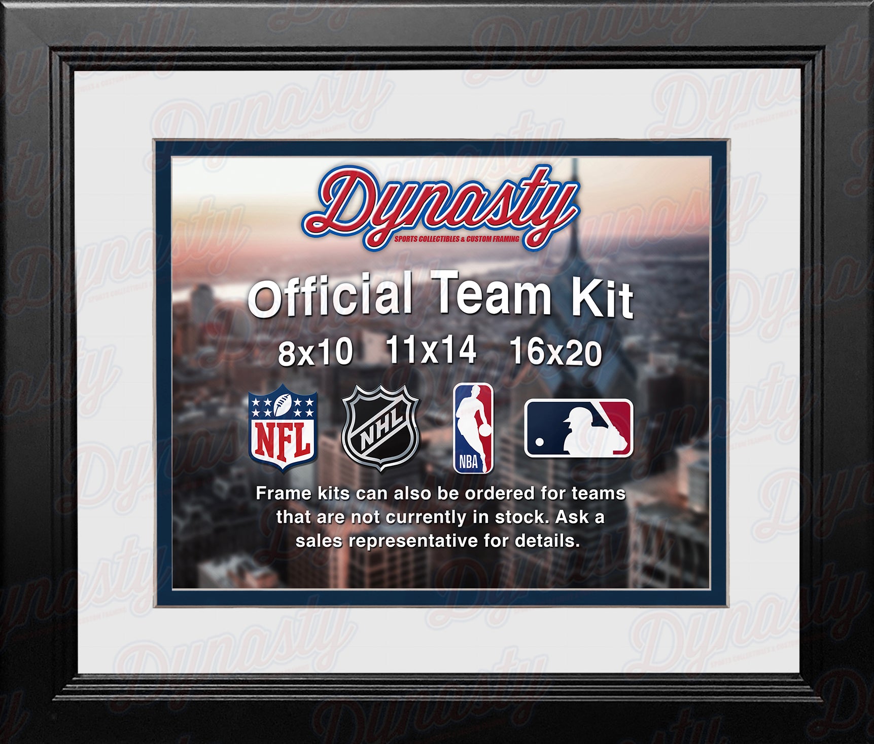 MLB Baseball Photo Picture Frame Kit - Detroit Tigers (Navy Matting