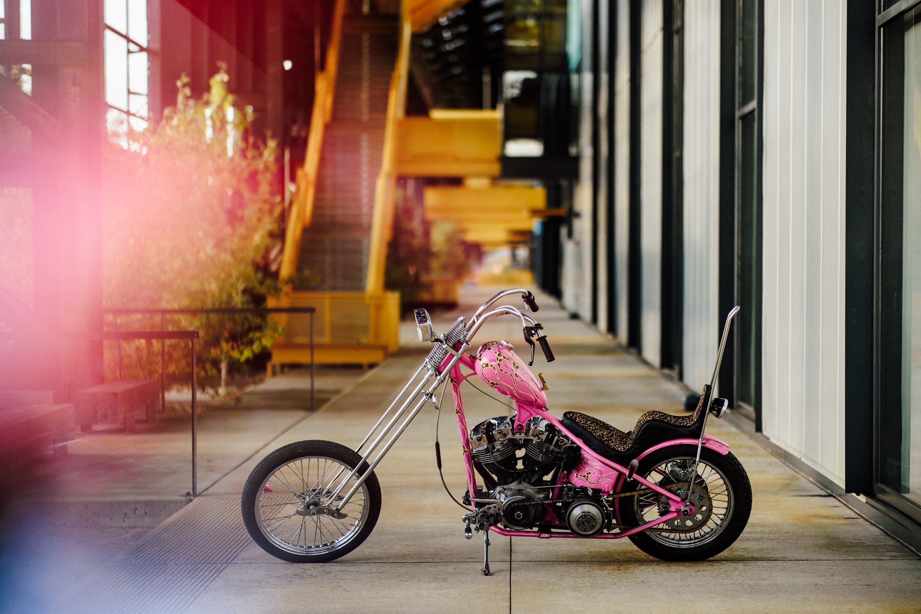 Harley-Davidson Shovelhead Chopper Motorcycle Pink Panther Glory Daze Pittsburgh Moto