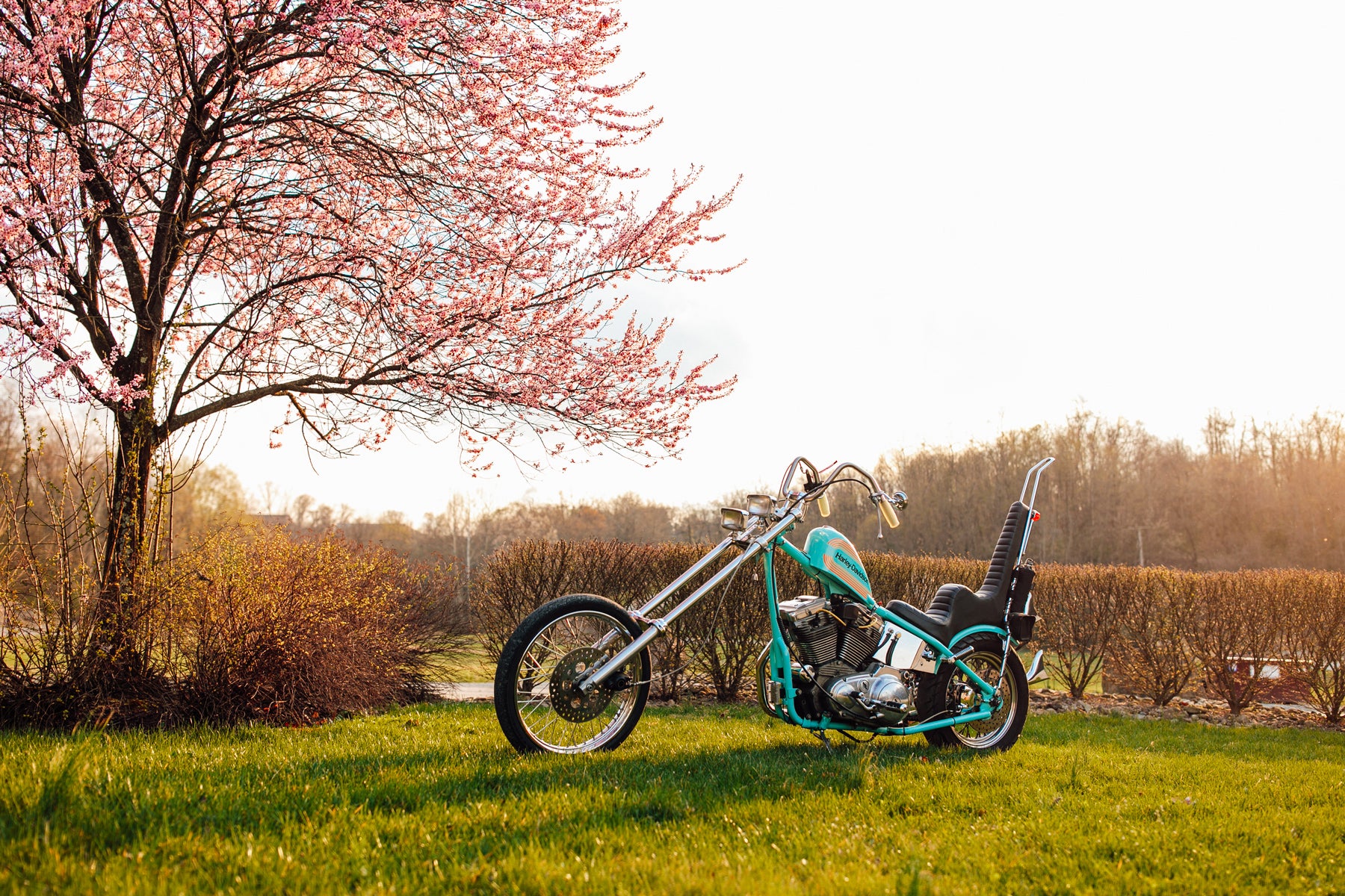 Glory Daze Motorcycle Show Pittsburgh Harley-Davidson Sportster Chopper