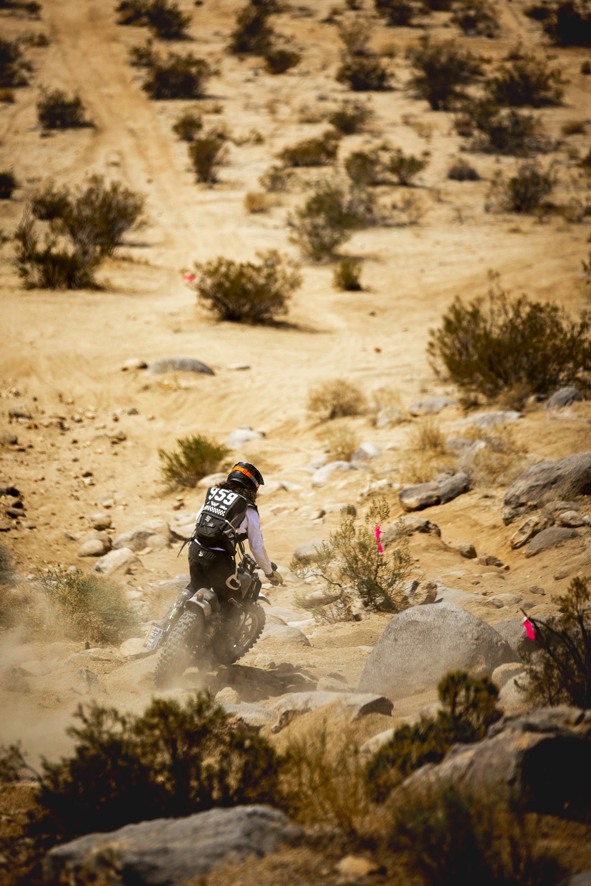 Glory Daze Motorcycle Show Pittsburgh Tyler Valentik Harley-Davidson Off-Road Sportster Desert Racer