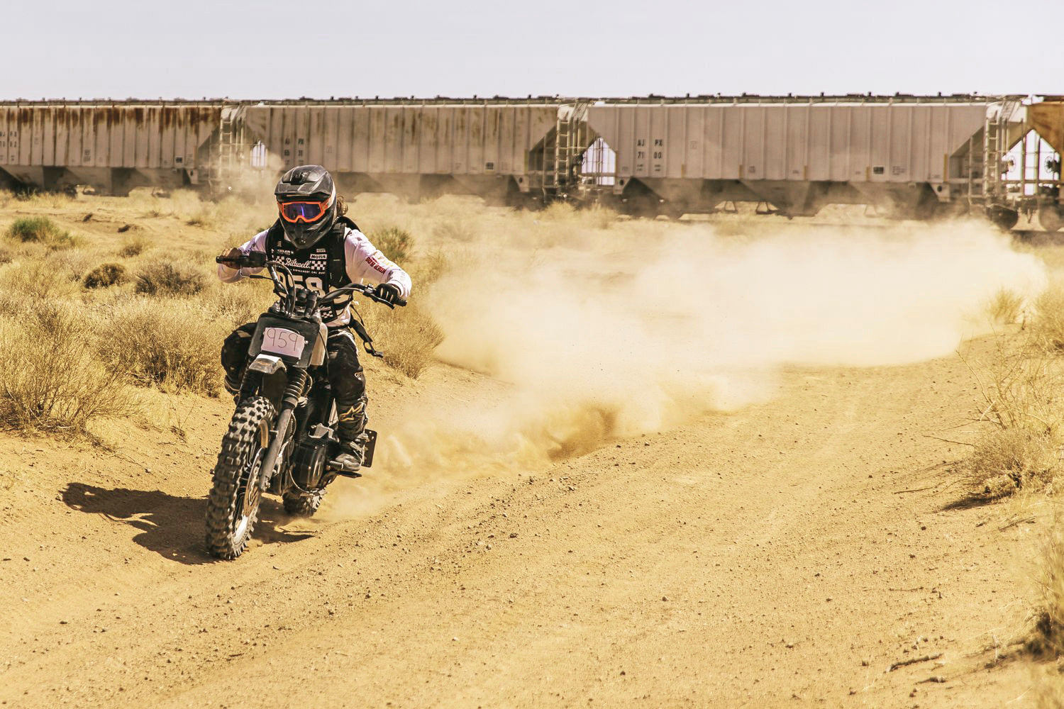 Glory Daze Motorcycle Show Pittsburgh Tyler Valentik Harley-Davidson Off-Road Sportster Desert Racer