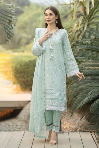 Pakistani Salwar Kameez Bhadravati