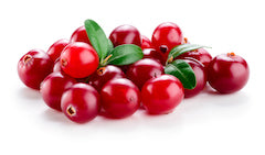 A small bunch of fresh, red cranberries with some green leaves