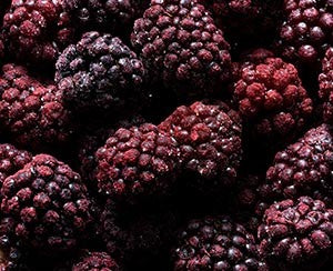 Ponthier IQF Cultivated Blackberries