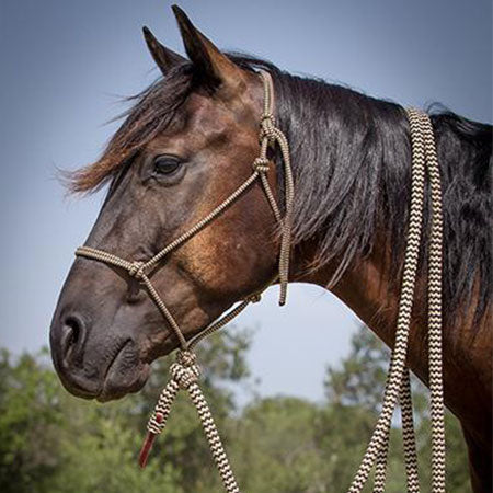 Havana Bridle Set with Black Navajo Mecate Reins – Chris Cox