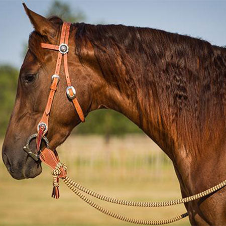 Harness Leather Bridle Set with Brown Navajo Mecate Reins – Chris