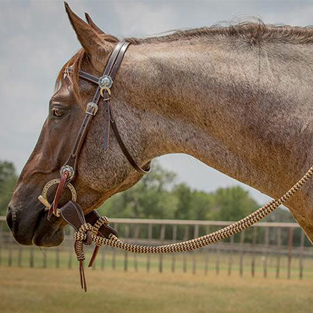 Havana Bridle Set with Black Navajo Mecate Reins – Chris Cox