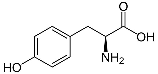 NALT vs L-Tyrosine